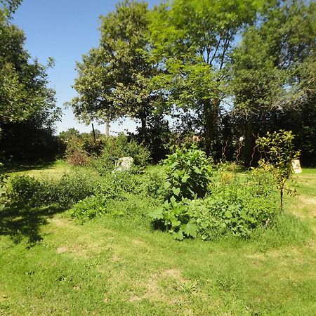 Tranquille Vienne Gites A Chirac Dept Charente מראה חיצוני תמונה