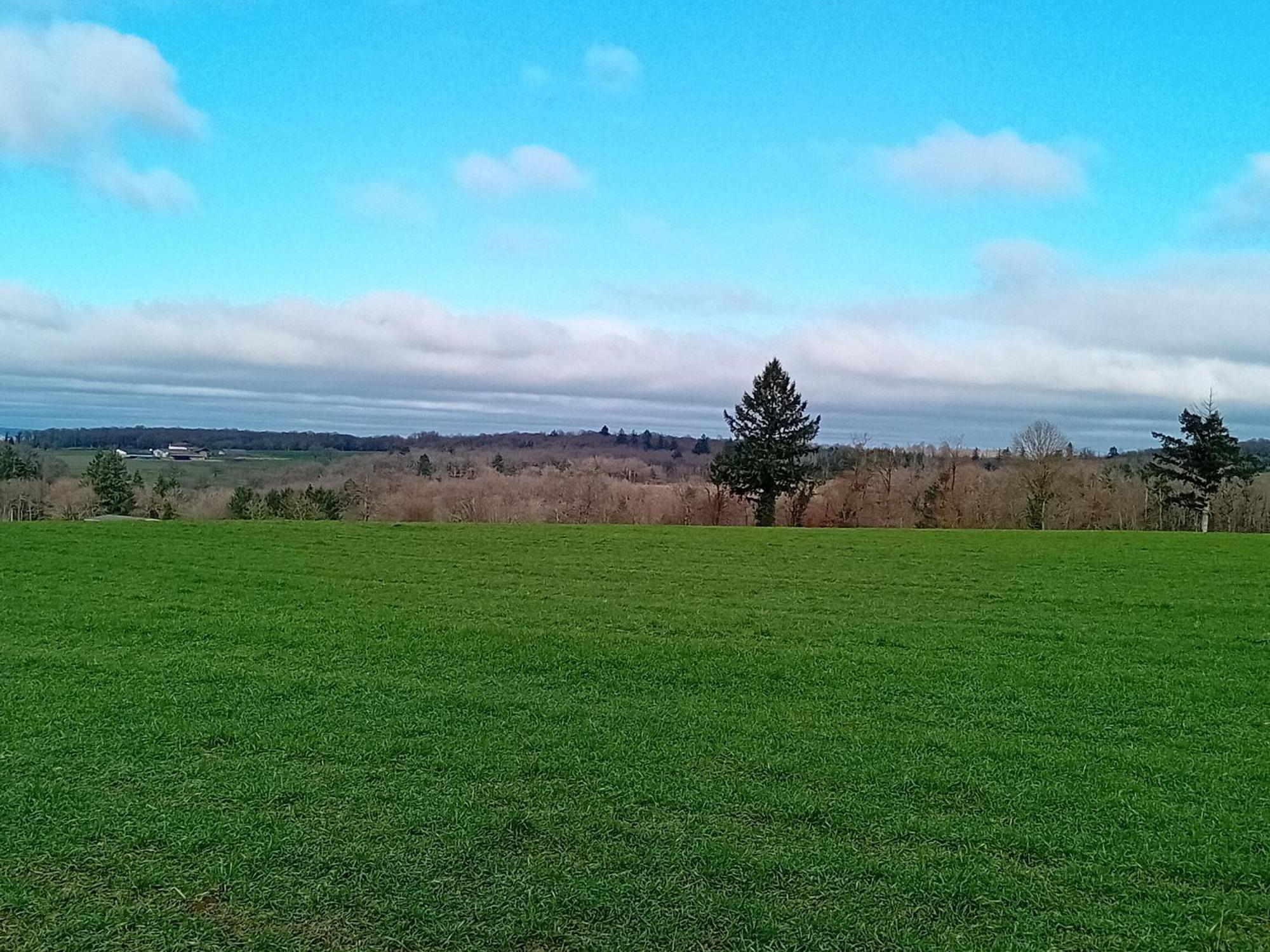 Tranquille Vienne Gites A Chirac Dept Charente מראה חיצוני תמונה
