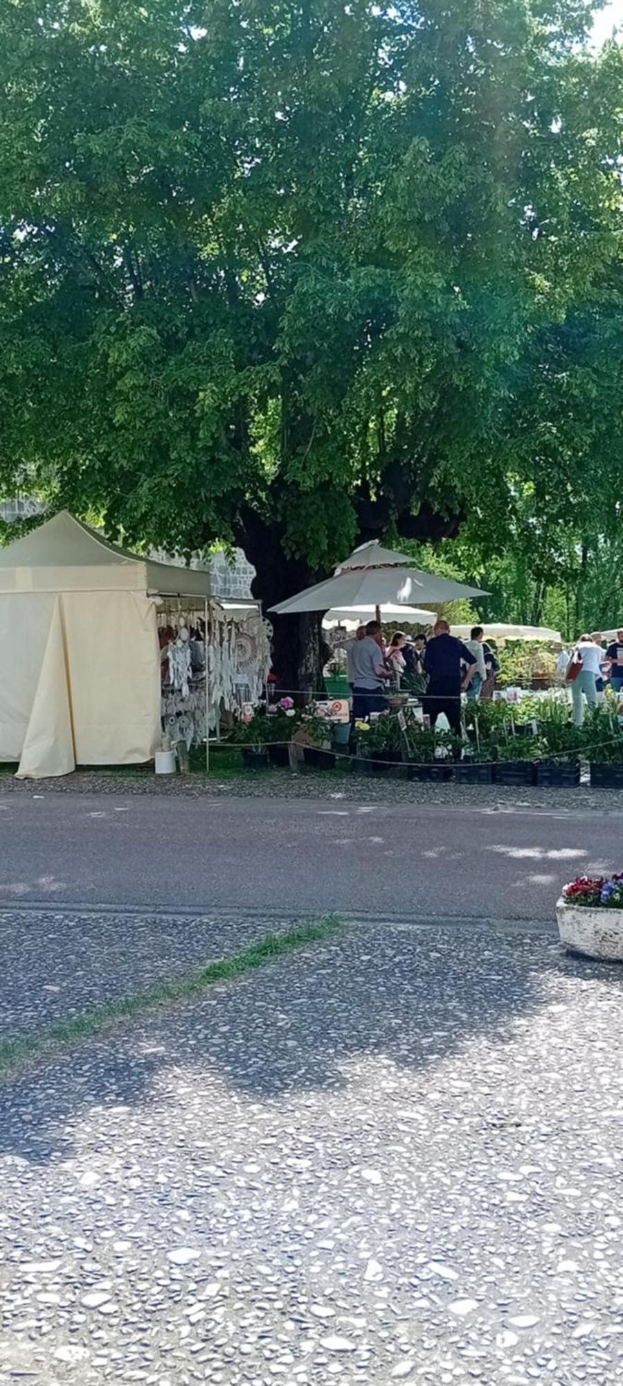 Tranquille Vienne Gites A Chirac Dept Charente מראה חיצוני תמונה